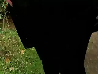 სექსუალური თინეიჯერი ანალი