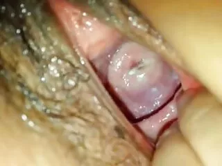 კამოს მომხიბლავი