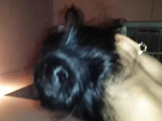 Zazala Coquine იღებს 2 დიკს